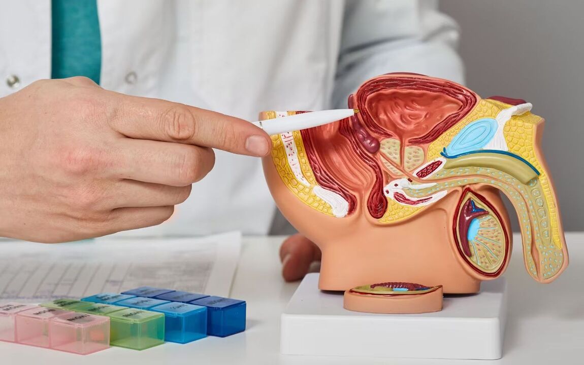 Lokalisierung der Prostata